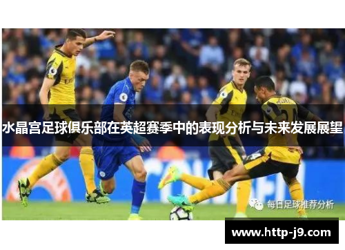 水晶宫足球俱乐部在英超赛季中的表现分析与未来发展展望