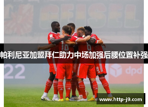 帕利尼亚加盟拜仁助力中场加强后腰位置补强